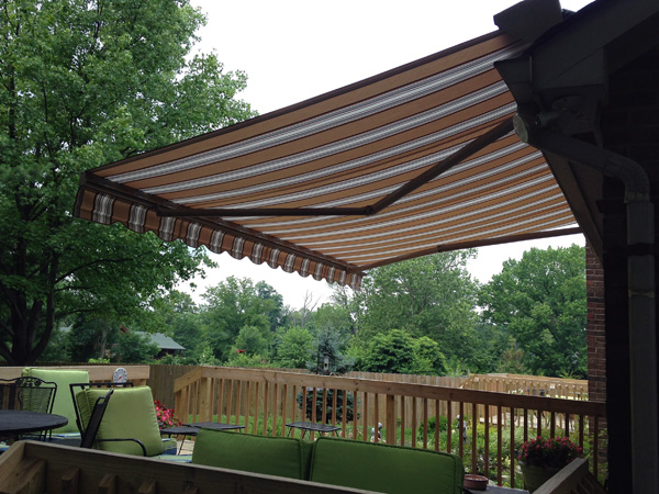 Project Spotlight
