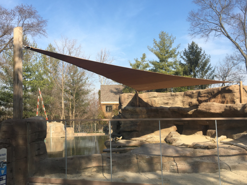 Project Spotlight